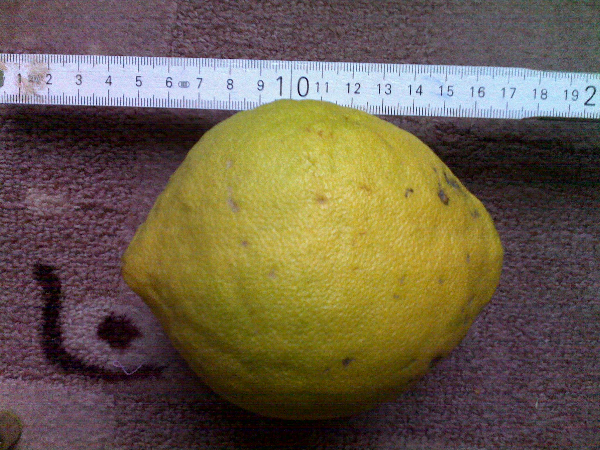 17012010479.jpg