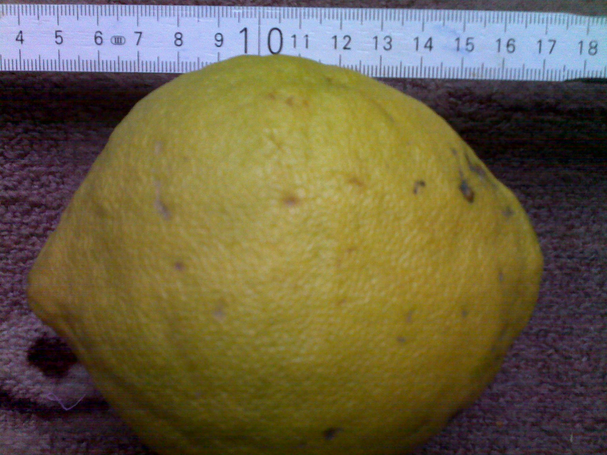 17012010481.jpg